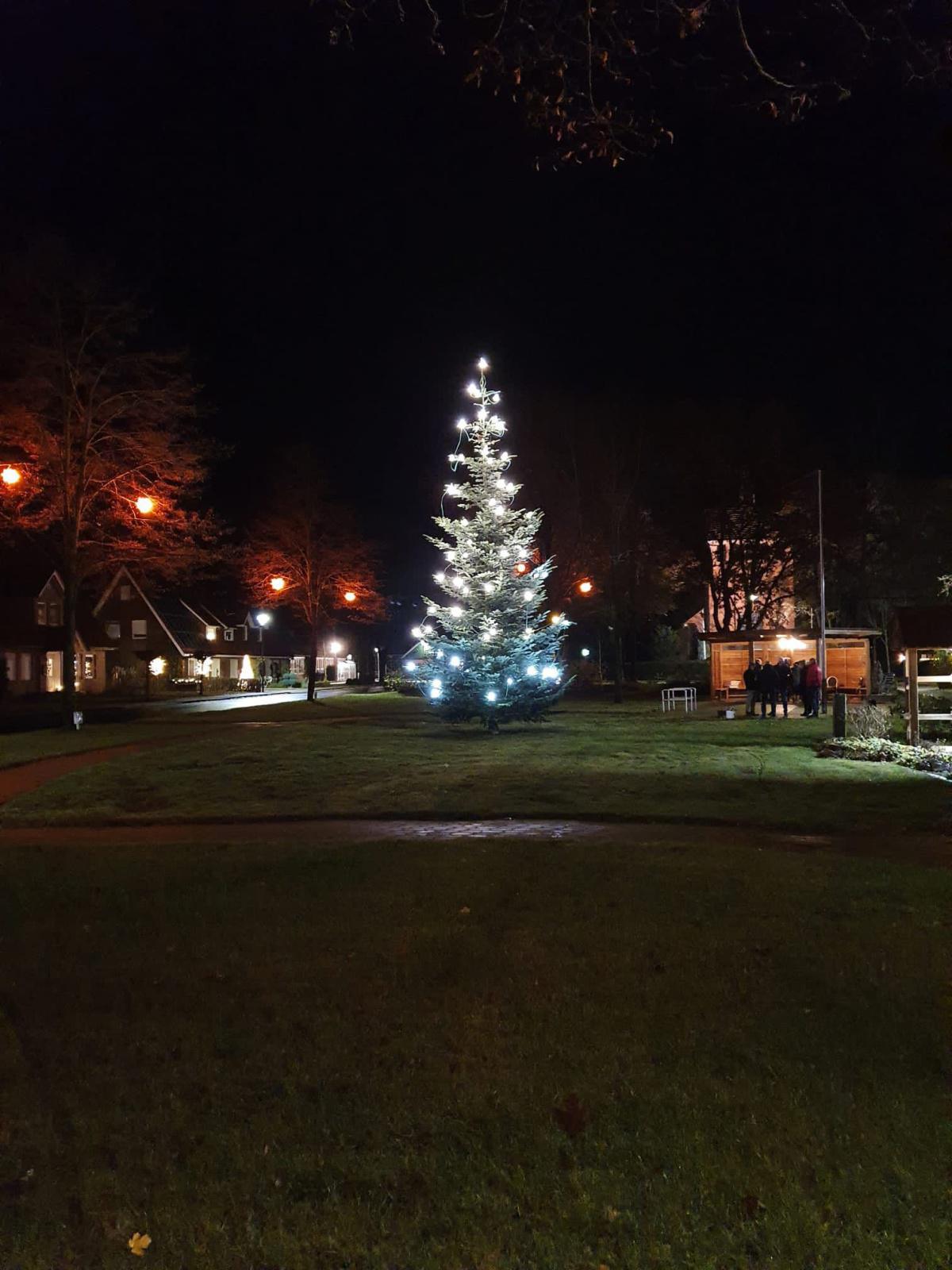 Toller Weihnachtsbaum in Sustrum-Moor