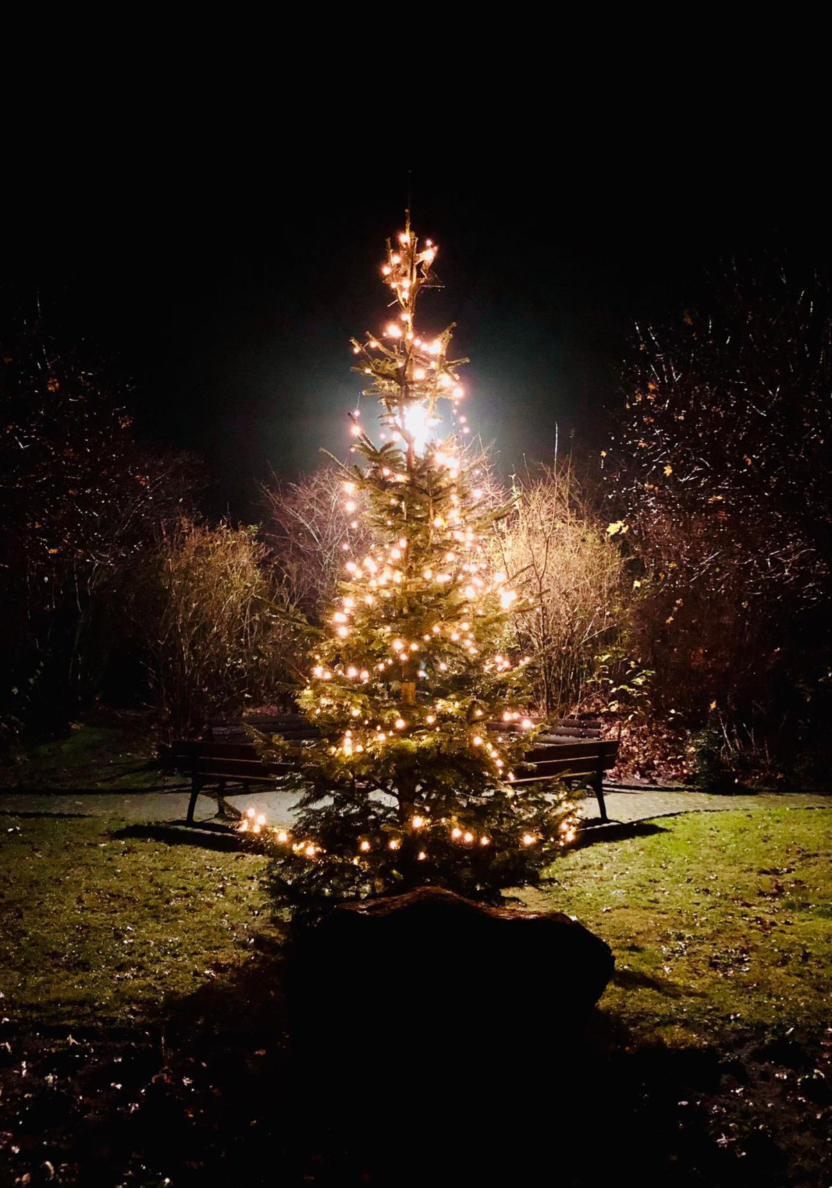 Festlich geschmückter Weihnachtsbaum im Ortsteil Wilholte