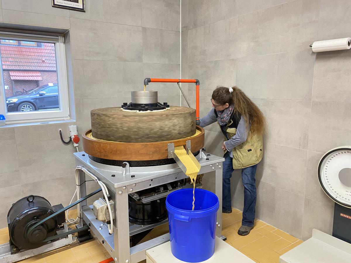 Senfmühle Terhorst in Niederlangen hat eröffnet