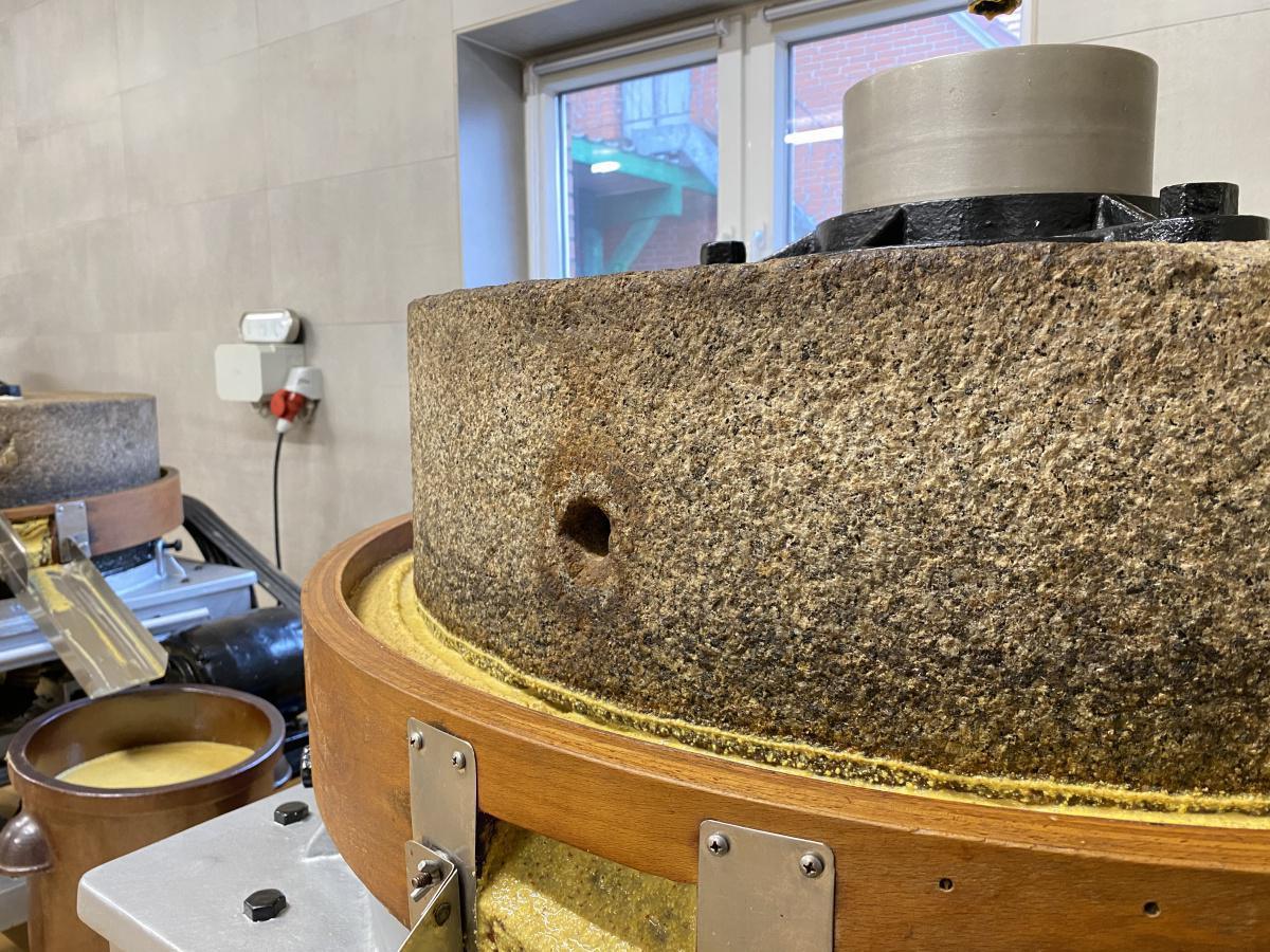 Senfmühle Terhorst in Niederlangen hat eröffnet