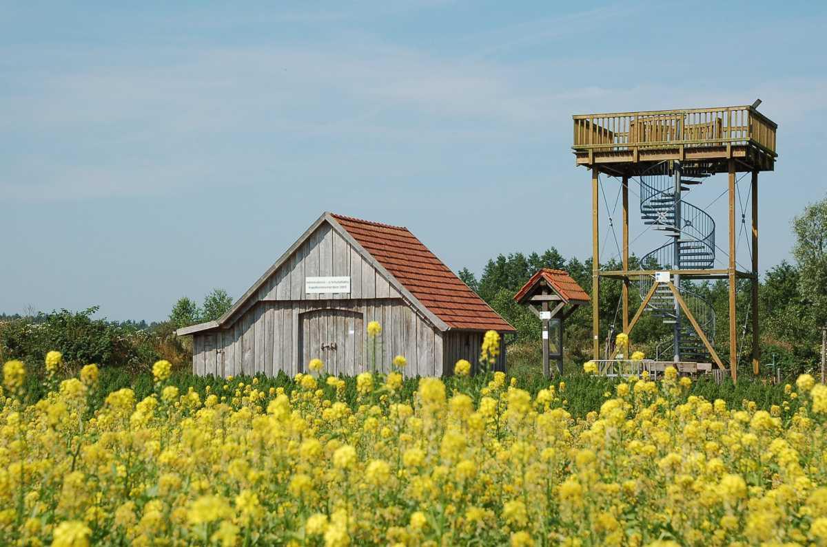 NaturAussicht Kapellenmoorgraben