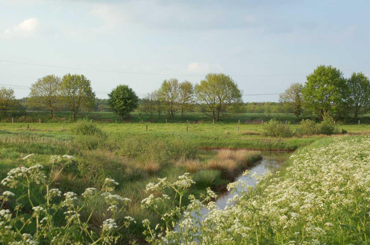 NaturAussicht Kapellenmoorgraben