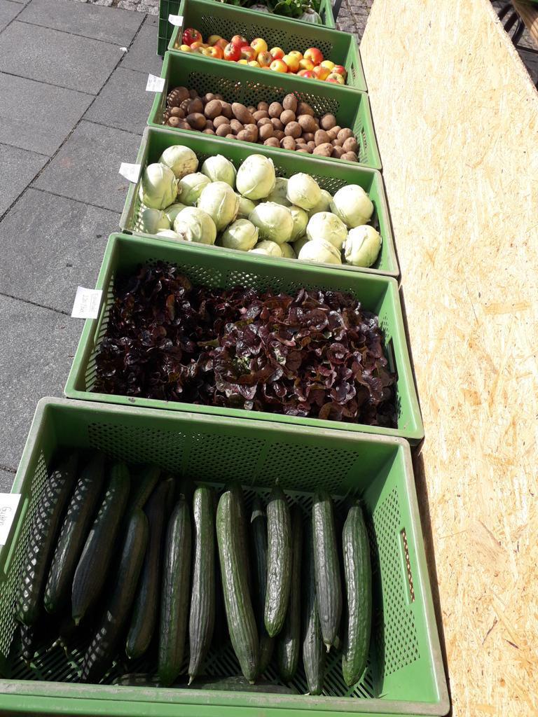 Jetzt neu: Regionales Biogemüse auf dem Lathener Wochenmarkt Jetzt neu: Regionales Biogemüse auf dem Lathener Wochenmarkt