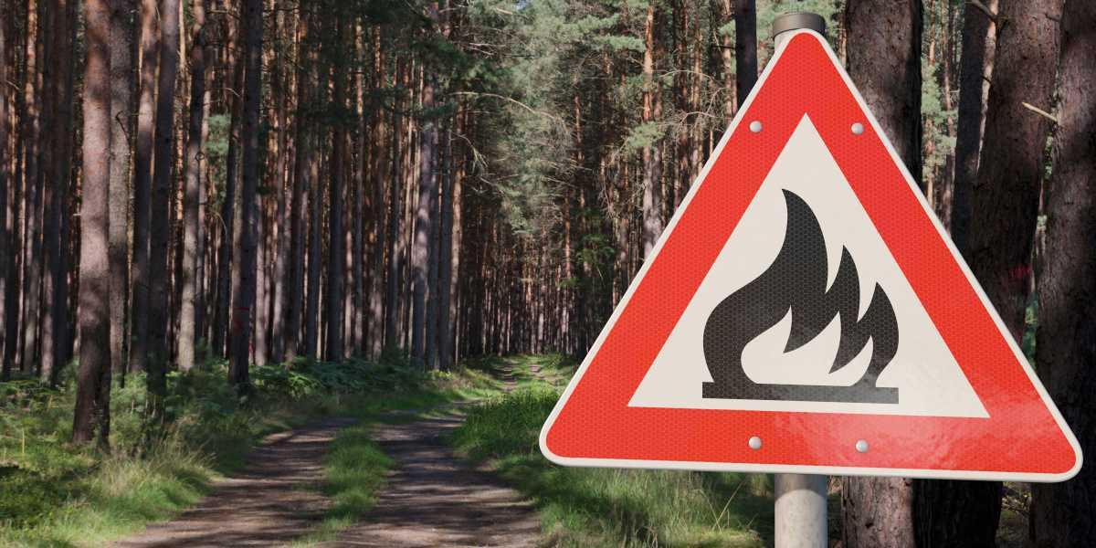 Erhöhte Waldbrandgefahr Erhöhte Waldbrandgefahr