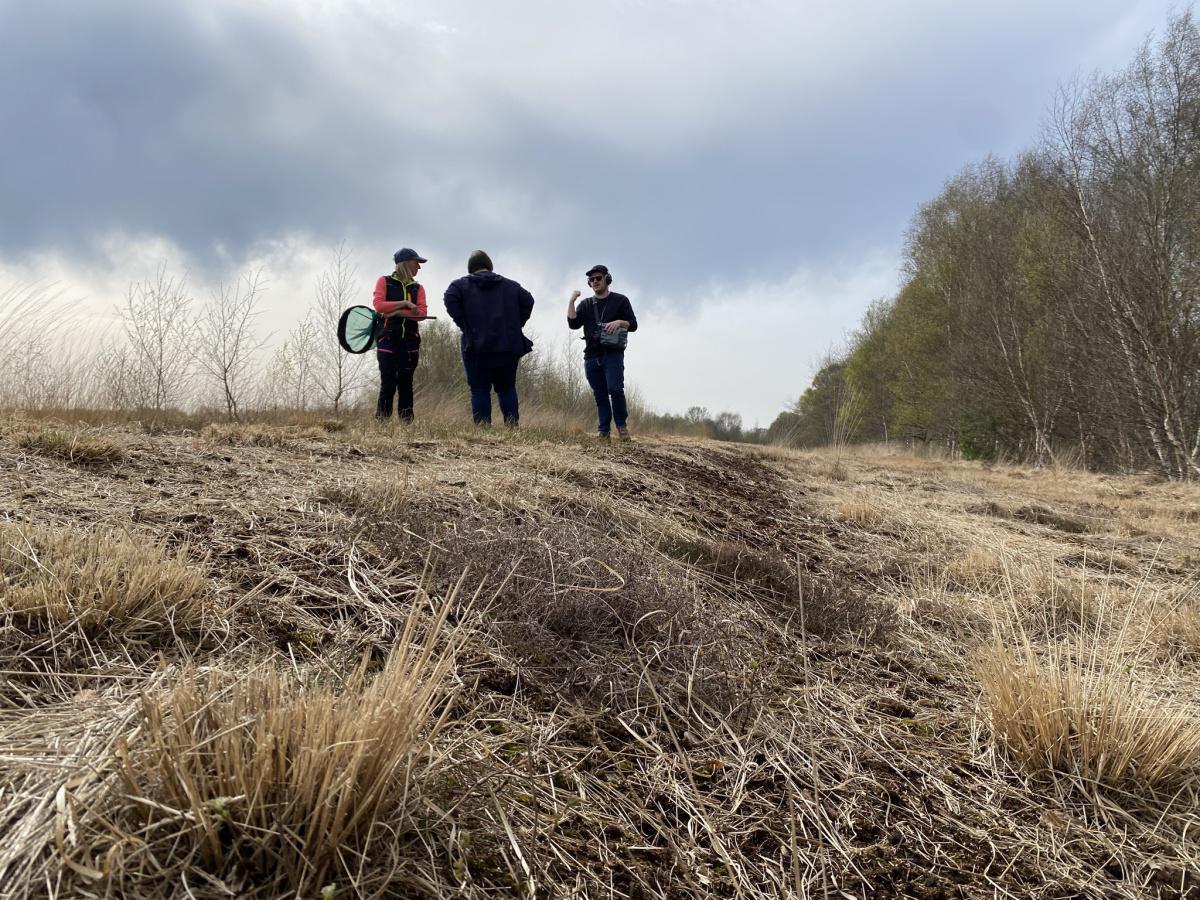 Das Emsland für die Ohren Das Emsland für die Ohren