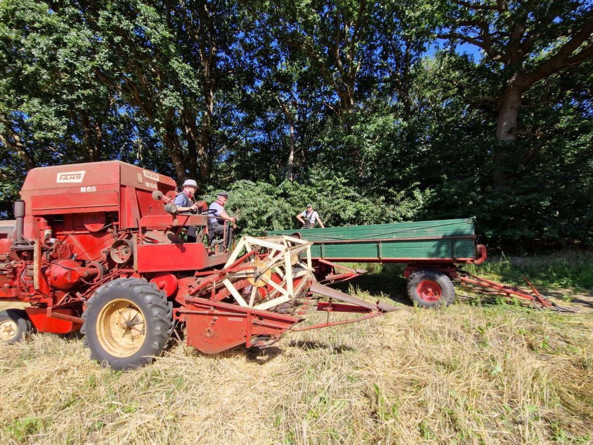 Historische Ernte auf dem Mühljanshof Historische Ernte auf dem Mühljanshof