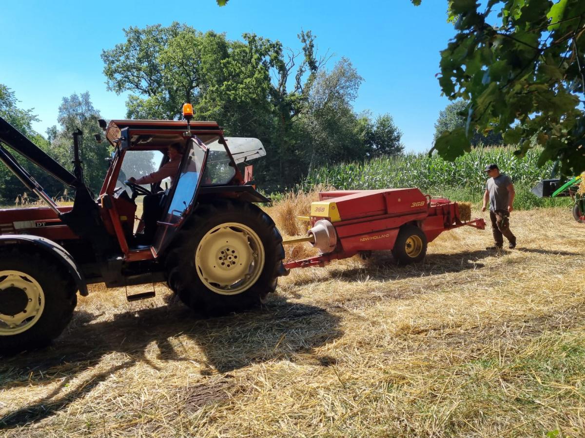 Historische Ernte auf dem Mühljanshof Historische Ernte auf dem Mühljanshof