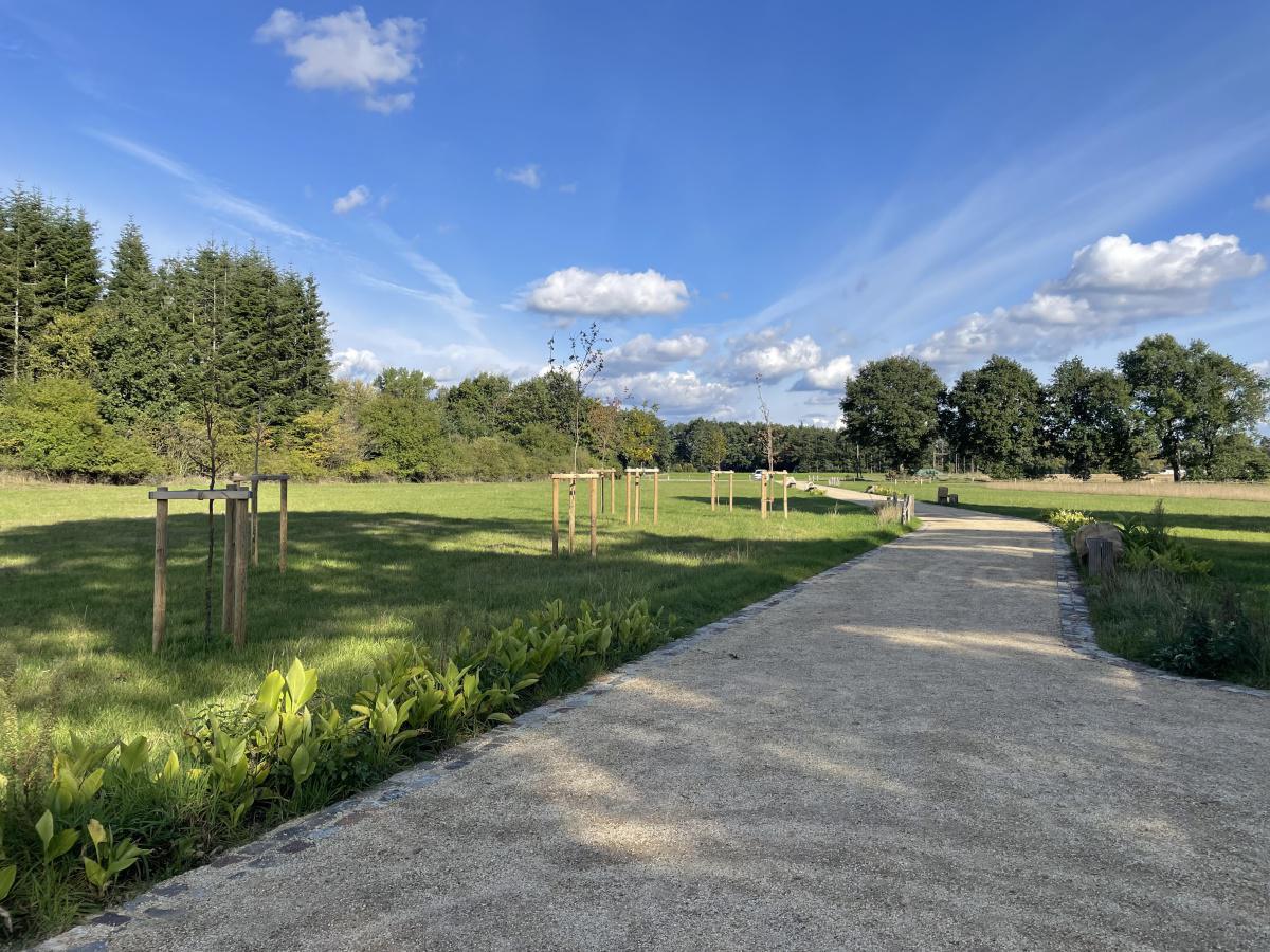 Geburtenwald in Lathen Geburtenwald in Lathen