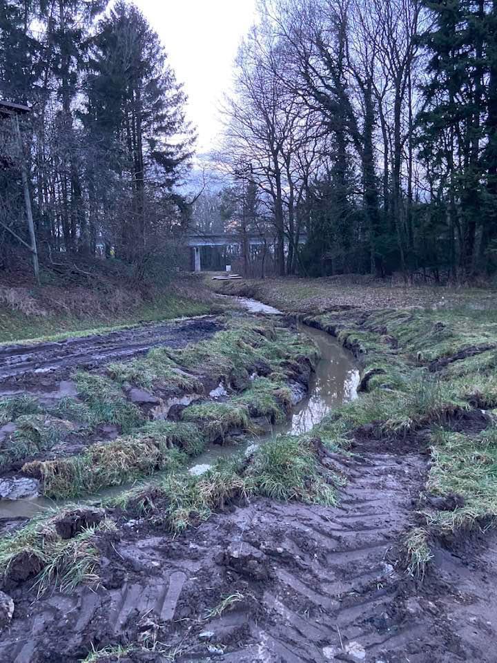 FV Lathen startet Renaturierung in Dünefehn FV Lathen startet Renaturierung in Dünefehn