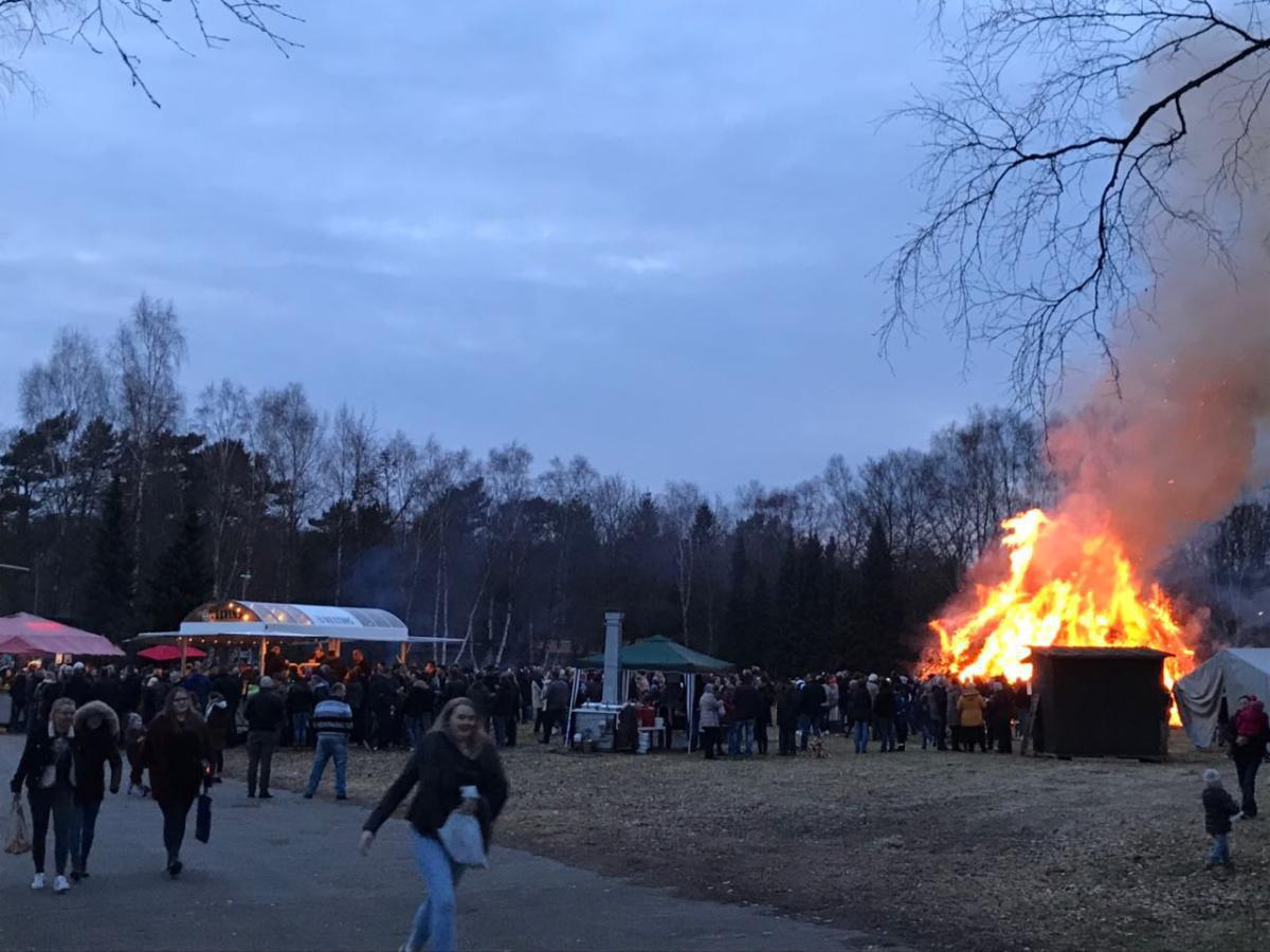 Lathen: Strauchgut für das Osterfeuer Lathen: Strauchgut für das Osterfeuer