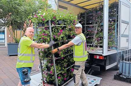Machen Sie mit und gewinnen Sie wertvolle Blumen Machen Sie mit und gewinnen Sie wertvolle Blumen