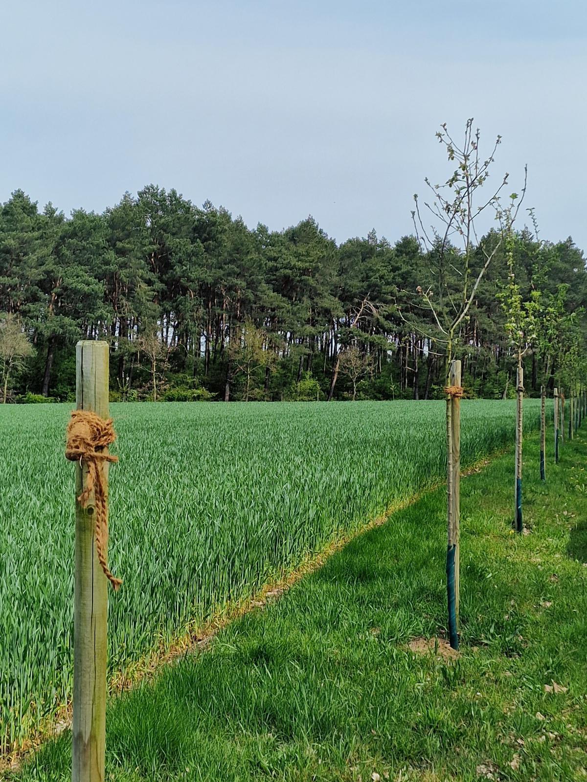 Zeugen gesucht! Zeugen gesucht!