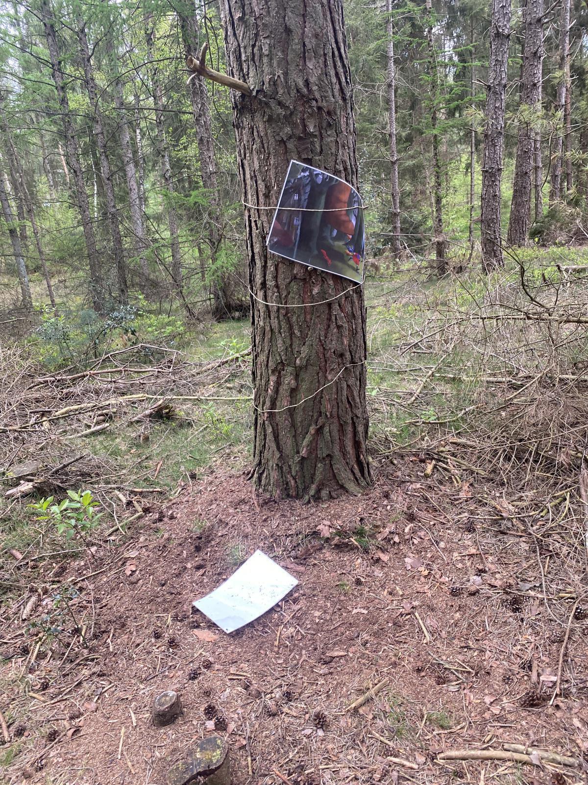 Mutwillige Zerstörung Mutwillige Zerstörung