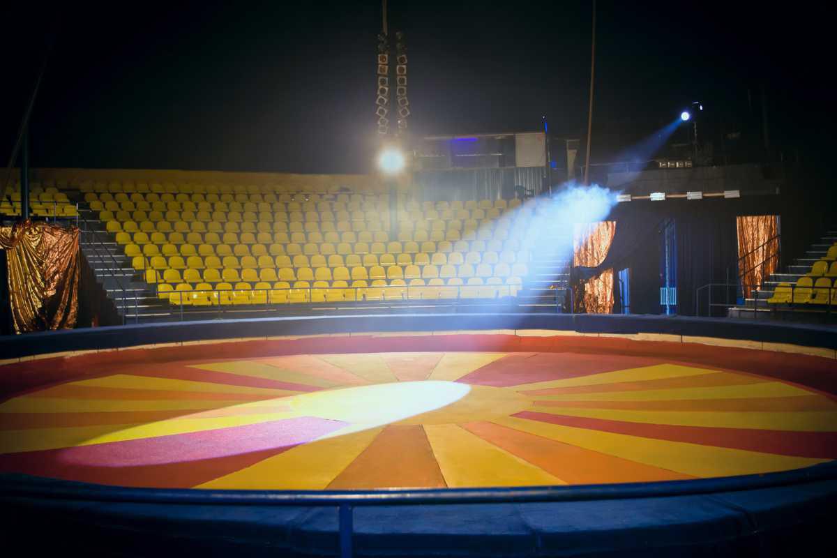 Zirkuswoche in Wippingen vom 11. - 16.3.24 Zirkuswoche in Wippingen vom 11. - 16.3.24