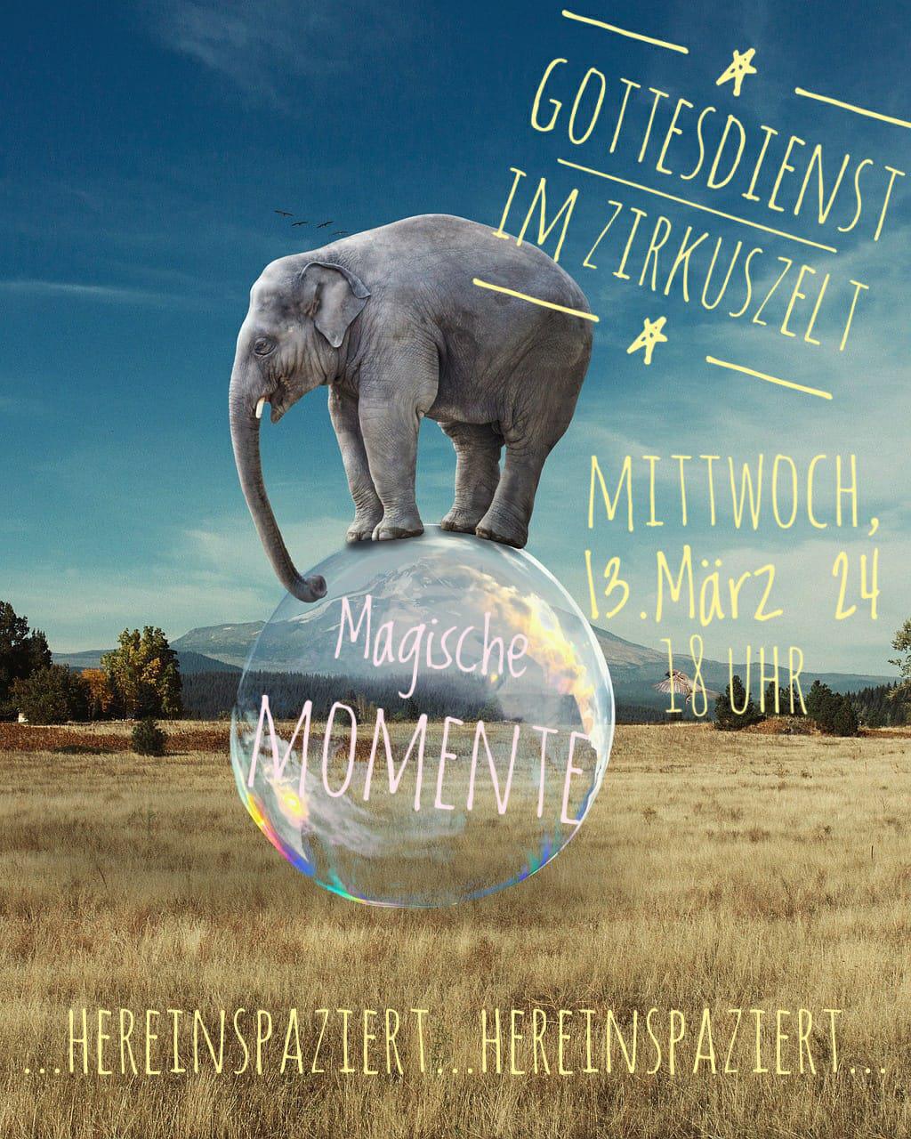 Zirkuswoche in Wippingen vom 11. - 16.3.24 Zirkuswoche in Wippingen vom 11. - 16.3.24