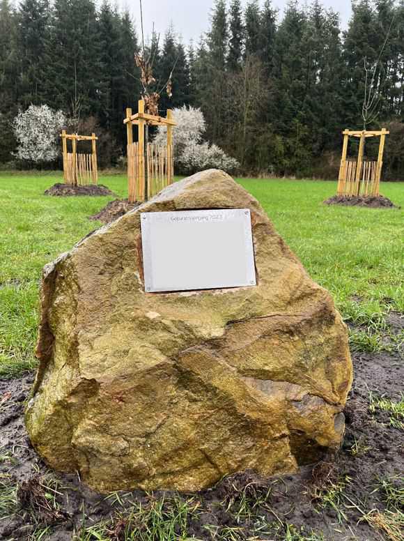 Baumpflanzaktion im Geburtenwald Baumpflanzaktion im Geburtenwald