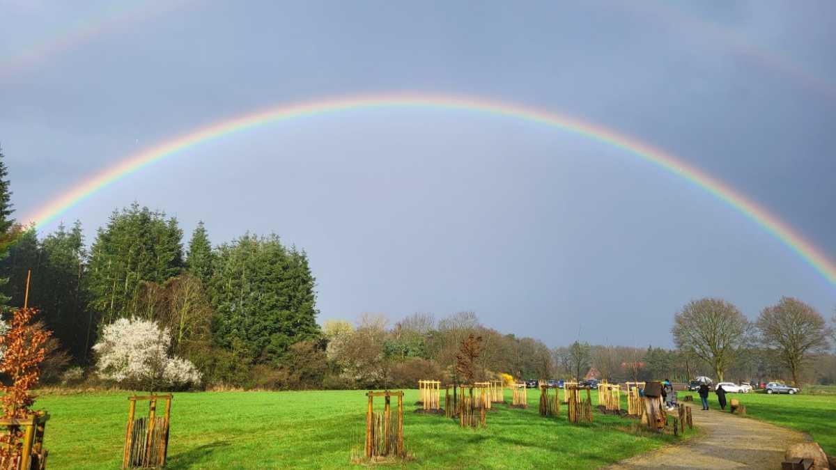 Baumpflanzaktion im Geburtenwald Baumpflanzaktion im Geburtenwald