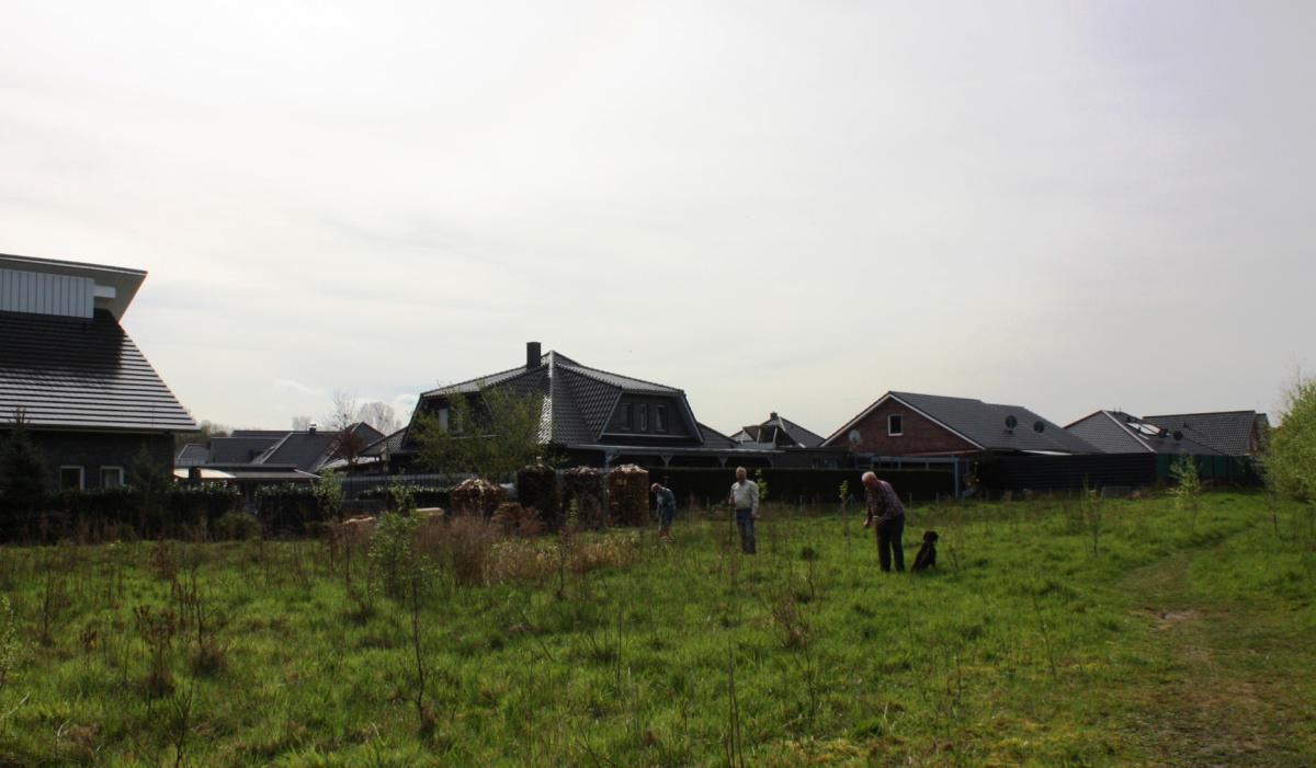 Arbeitsgruppe „Grüne Plätze“ pflanzt 50 Bäume in Dünefehn Arbeitsgruppe „Grüne Plätze“ pflanzt 50 Bäume in Dünefehn