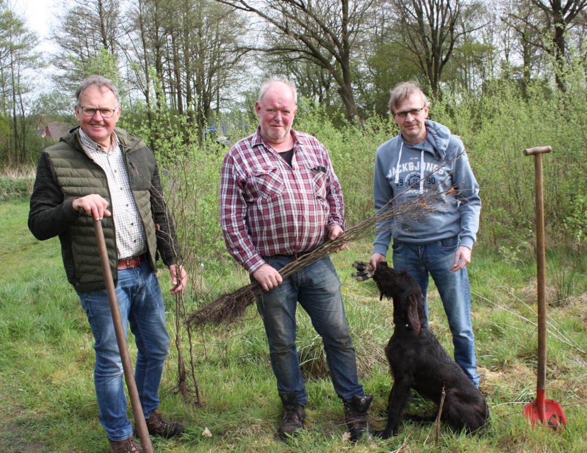 Arbeitsgruppe „Grüne Plätze“ pflanzt 50 Bäume in Dünefehn Arbeitsgruppe „Grüne Plätze“ pflanzt 50 Bäume in Dünefehn