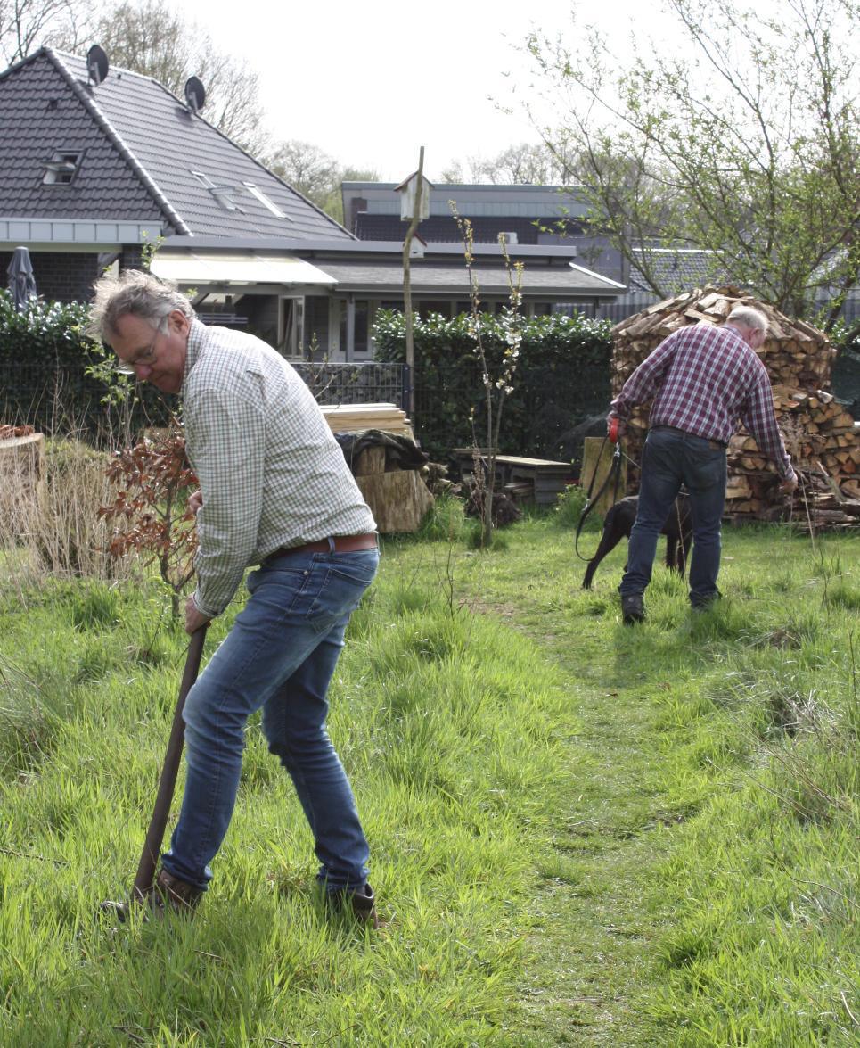 Arbeitsgruppe „Grüne Plätze“ pflanzt 50 Bäume in Dünefehn Arbeitsgruppe „Grüne Plätze“ pflanzt 50 Bäume in Dünefehn