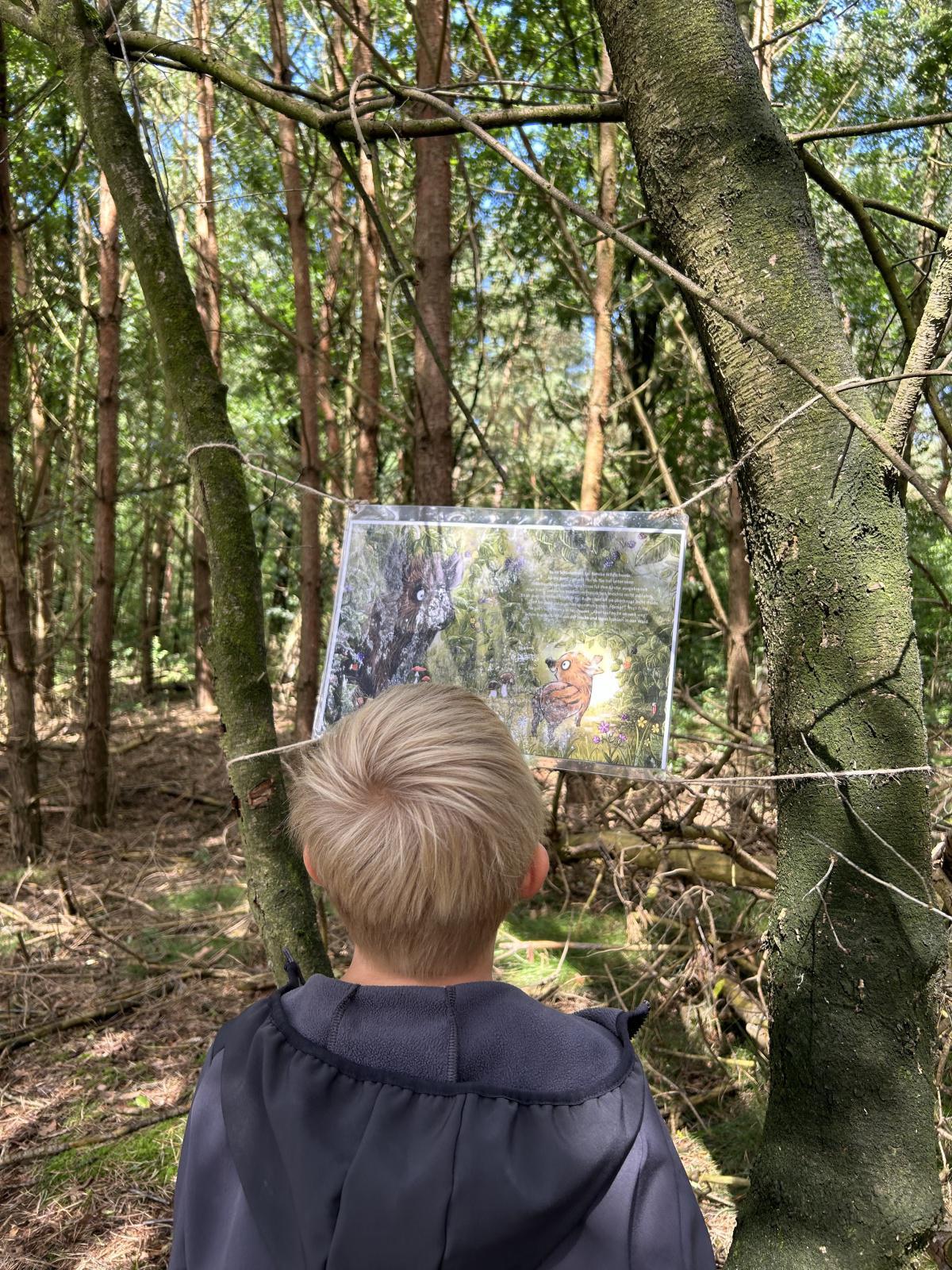 🌞 Ferienzeit: Waldrallyes in der Samtgemeinde Lathen 🌳🌿