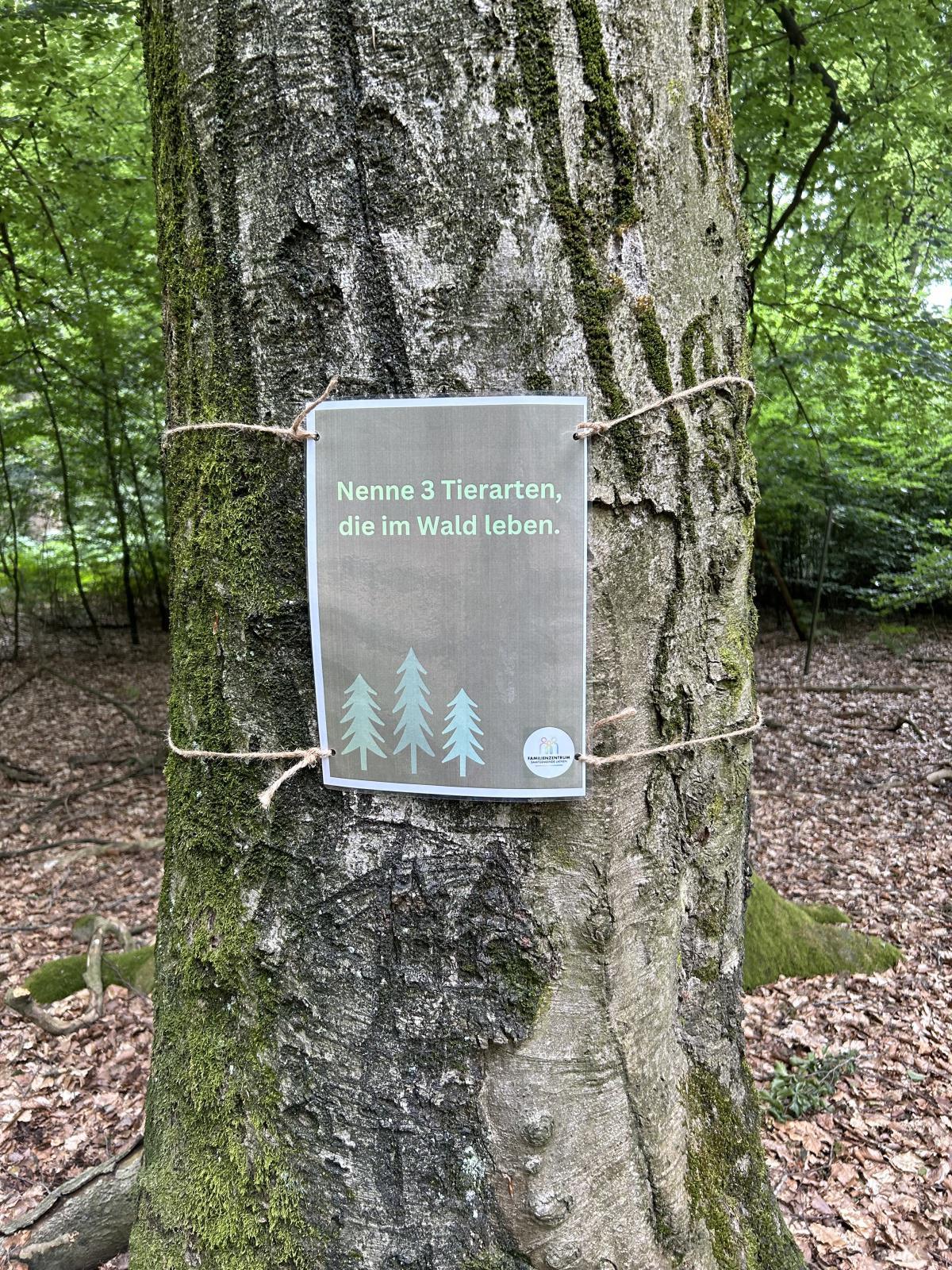 🌞 Ferienzeit: Waldrallyes in der Samtgemeinde Lathen 🌳🌿