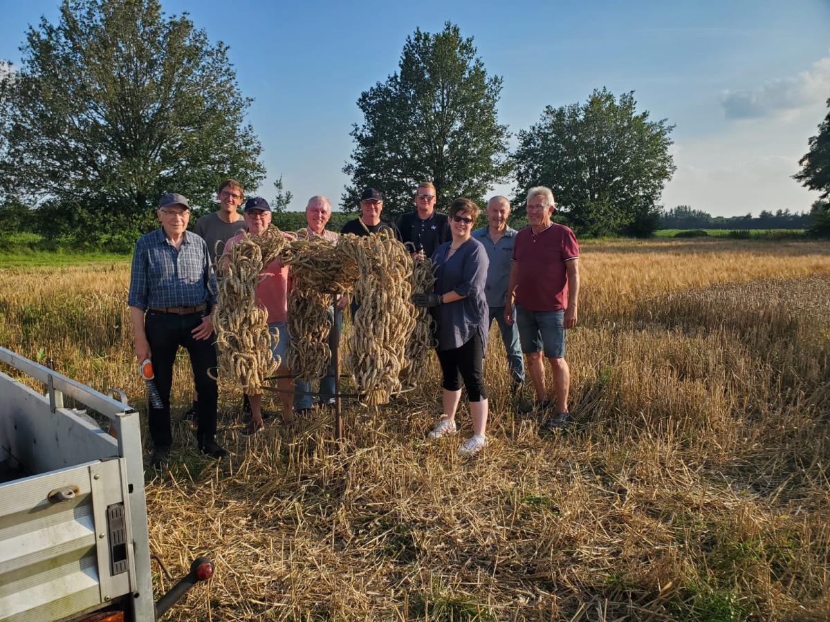 Ober-/Niederlangen: Erntekrone gebunden Ober-/Niederlangen: Erntekrone gebunden