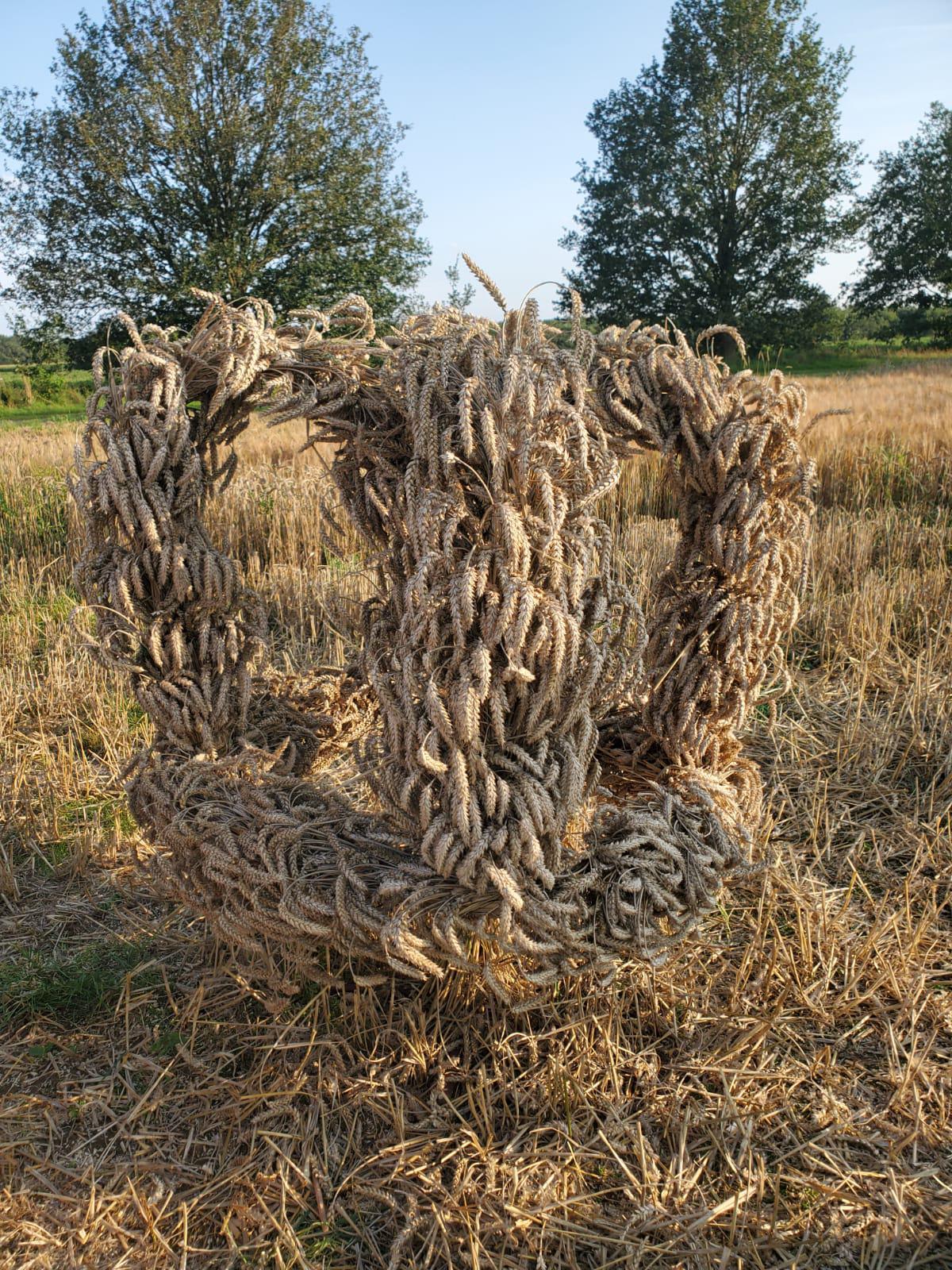 Ober-/Niederlangen: Erntekrone gebunden