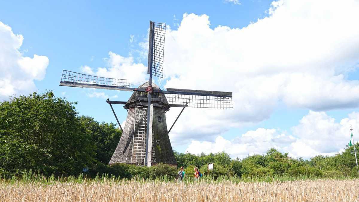 Hilter Mühle „Tag des offenen Denkmals“ Hilter Mühle „Tag des offenen Denkmals“