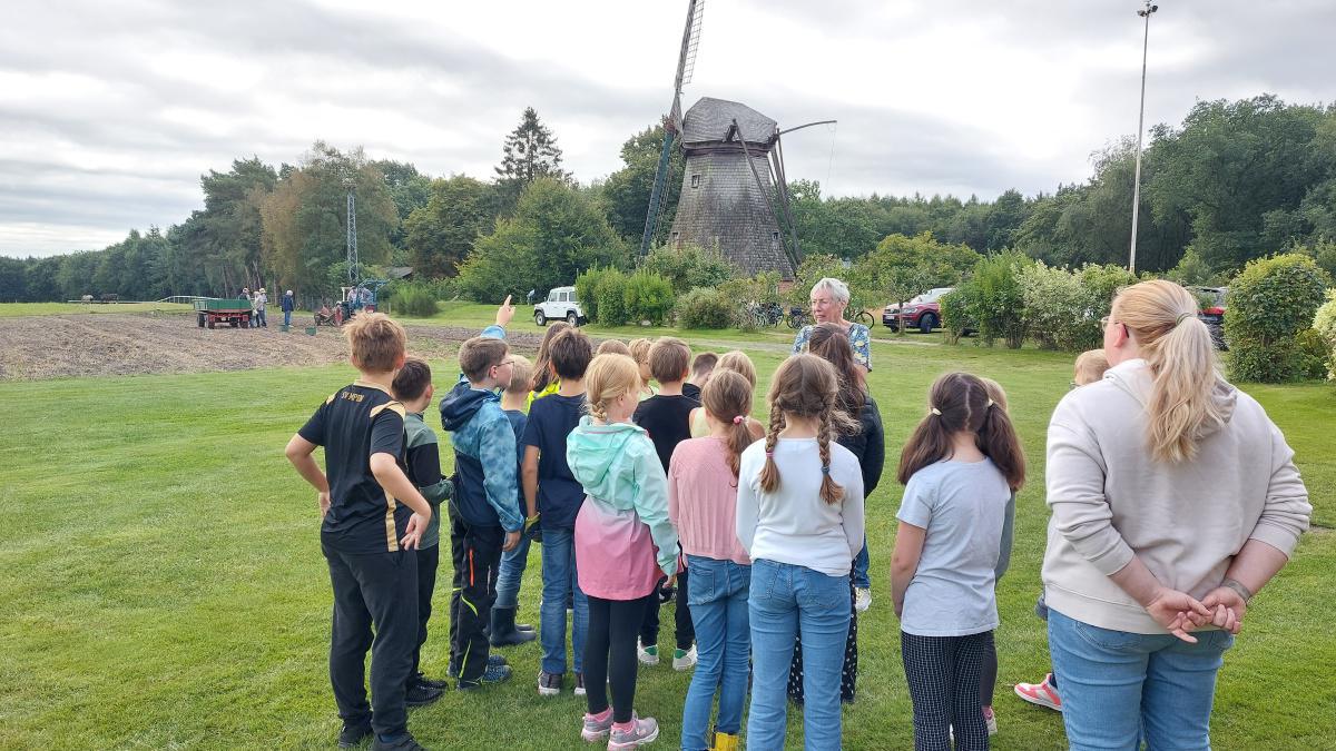 Kartoffelernte an der Hilter Mühle 