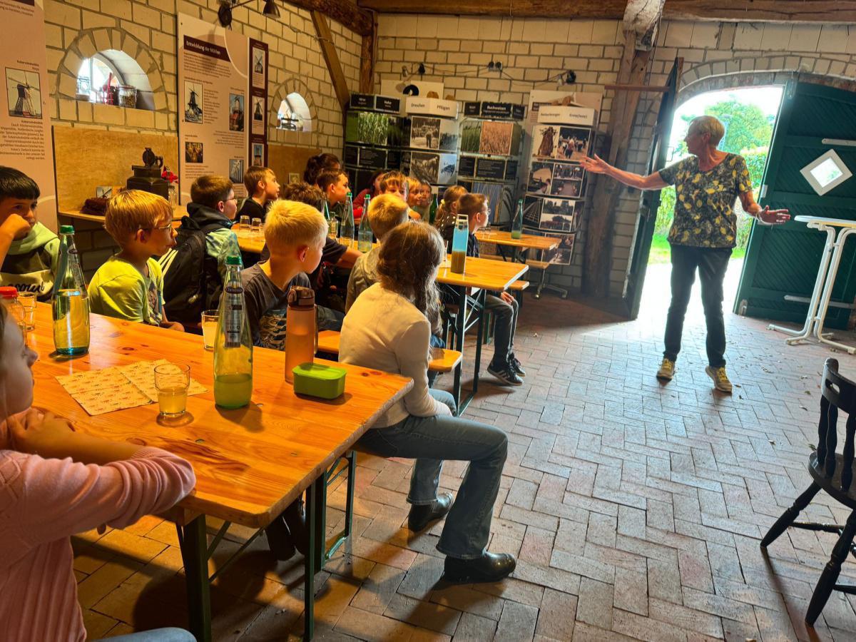 Kartoffelernte an der Hilter Mühle Kartoffelernte an der Hilter Mühle