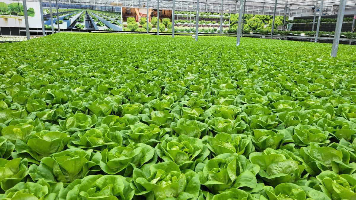 Seniorenfahrt der Gemeinde Lathen Seniorenfahrt der Gemeinde Lathen