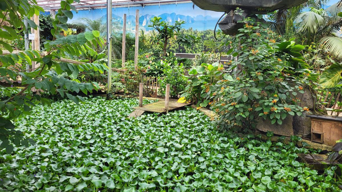 Seniorenfahrt der Gemeinde Lathen Seniorenfahrt der Gemeinde Lathen