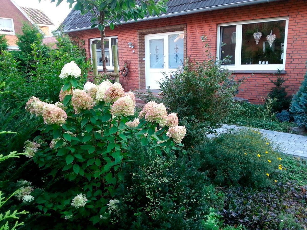 Ferienwohnung Löwenzahn-Ferienhaus Emstal 