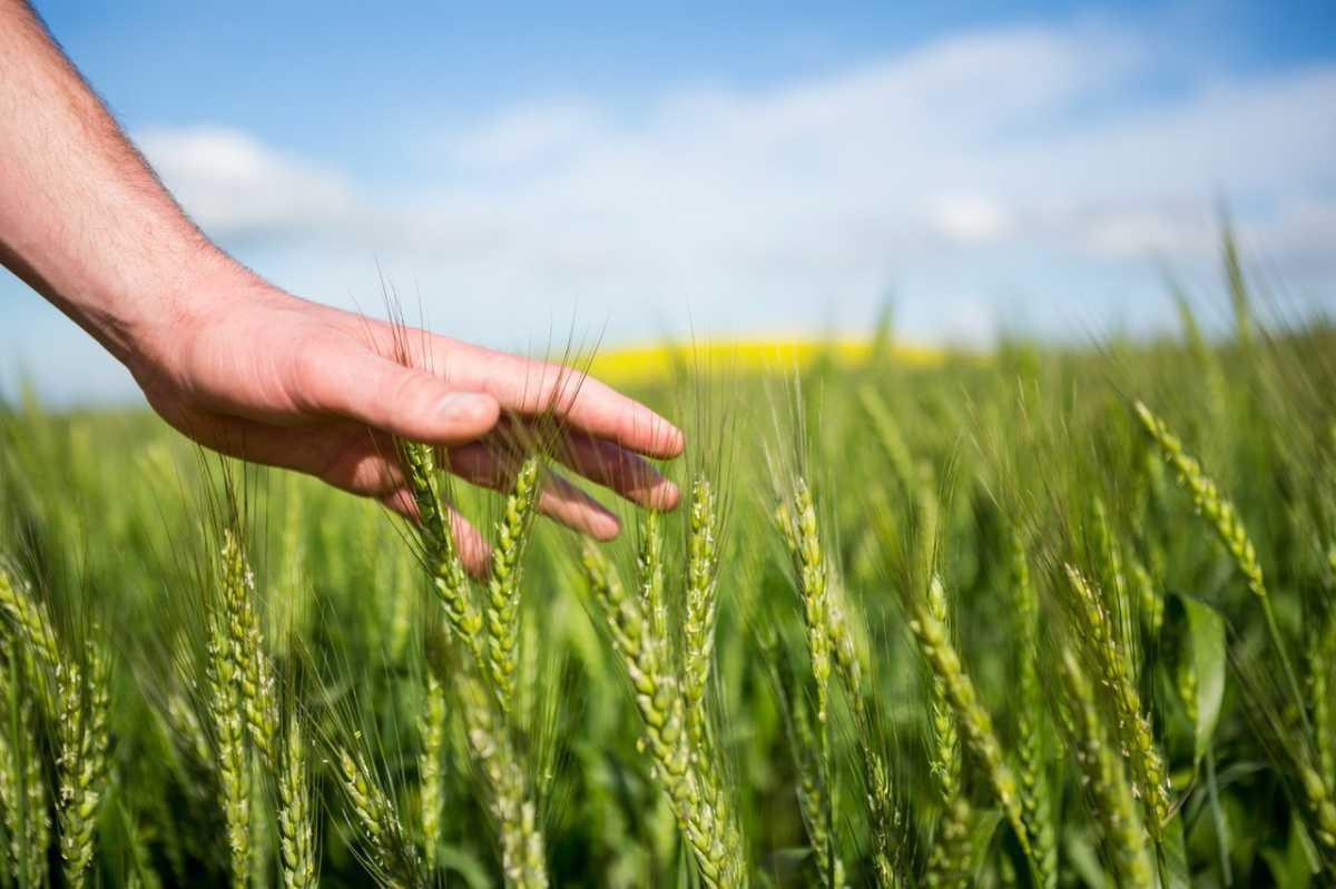 Landwirtschaftlicher Ortsverein Renkenberge Landwirtschaftlicher Ortsverein Renkenberge