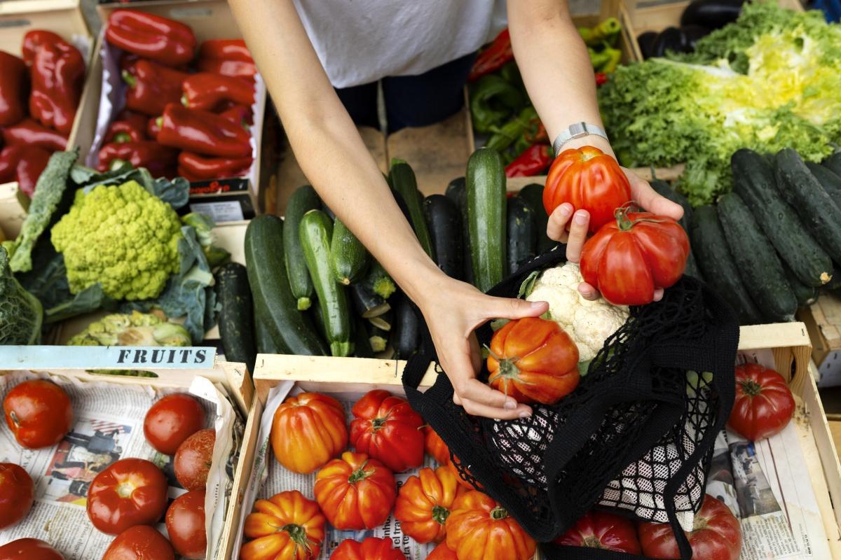 Neues Angebot auf dem Lathener Wochenmarkt: Gärtnerei Meijer kommt