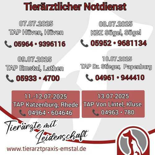 Tierärztlicher Notdienst vom 07.07.2025 bis 13.07.2025