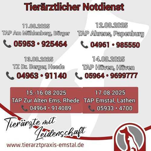 Tierärztlicher Notdienst vom 11.08. bis 17.08.2025