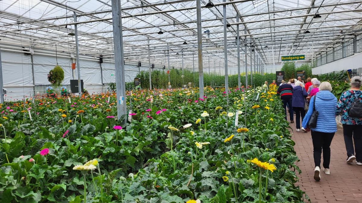 Gemeinde Lathen lädt Seniorinnen und Senioren zur Halbtagesfahrt ein Gemeinde Lathen lädt Seniorinnen und Senioren zur Halbtagesfahrt ein