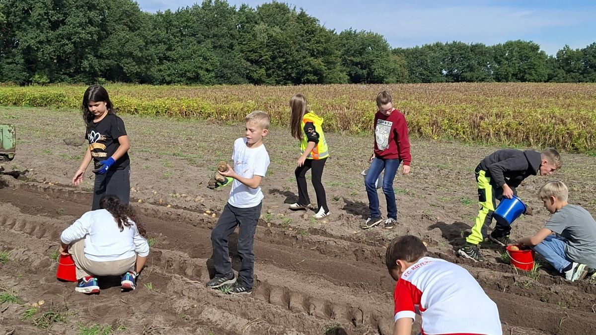 Kartoffelernte mit dem Heimatverein Erna-de-Vries-Schule Lathen Kartoffelernte mit dem Heimatverein Erna-de-Vries-Schule Lathen