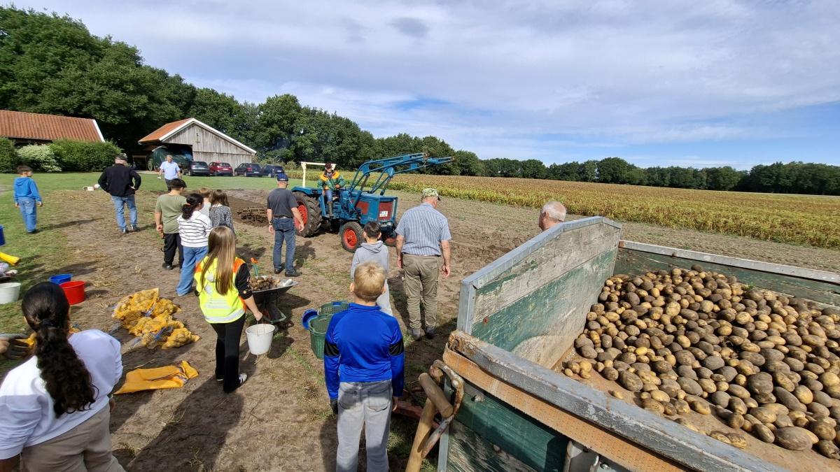 Kartoffelernte mit dem Heimatverein Erna-de-Vries-Schule Lathen Kartoffelernte mit dem Heimatverein Erna-de-Vries-Schule Lathen