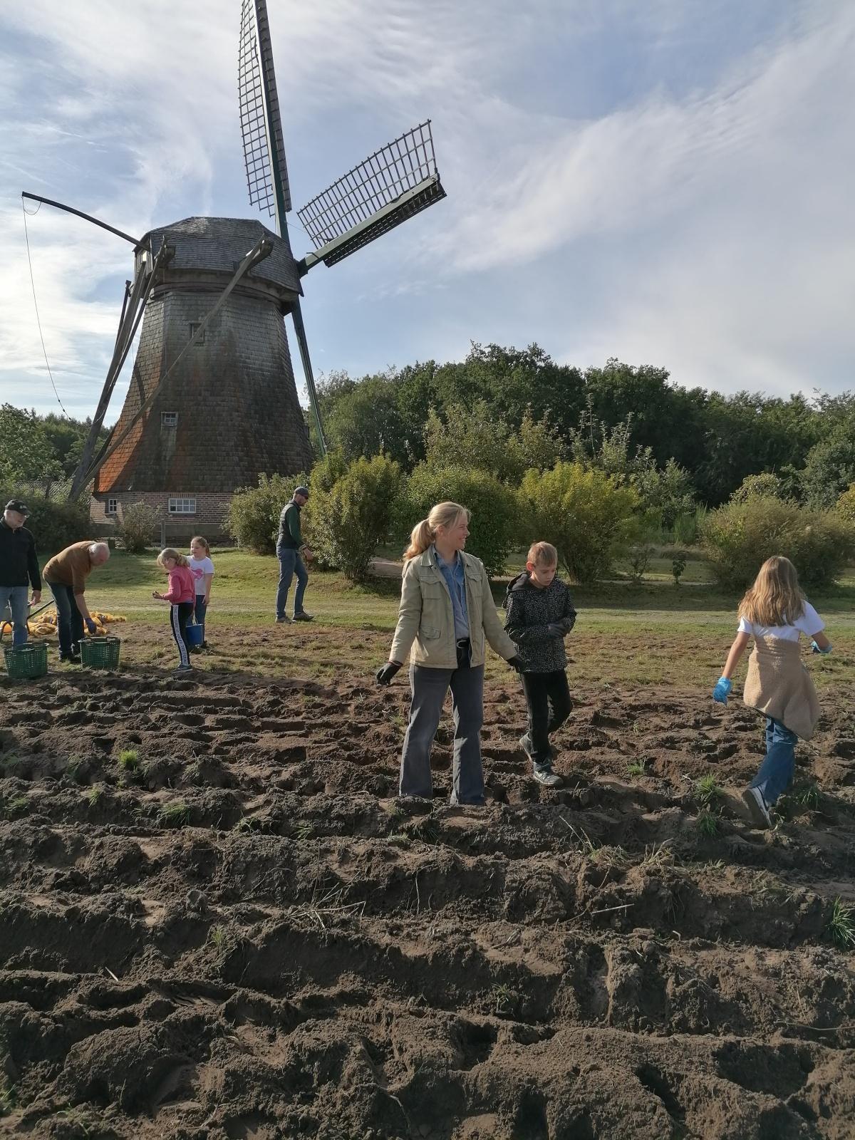 Kartoffelernte mit dem Heimatverein Erna-de-Vries-Schule Lathen Kartoffelernte mit dem Heimatverein Erna-de-Vries-Schule Lathen