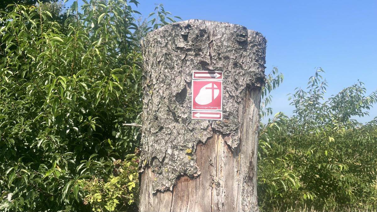 Traditionelles Abpilgern auf dem Hümmlinger Pilgerweg am 25.10.2025 