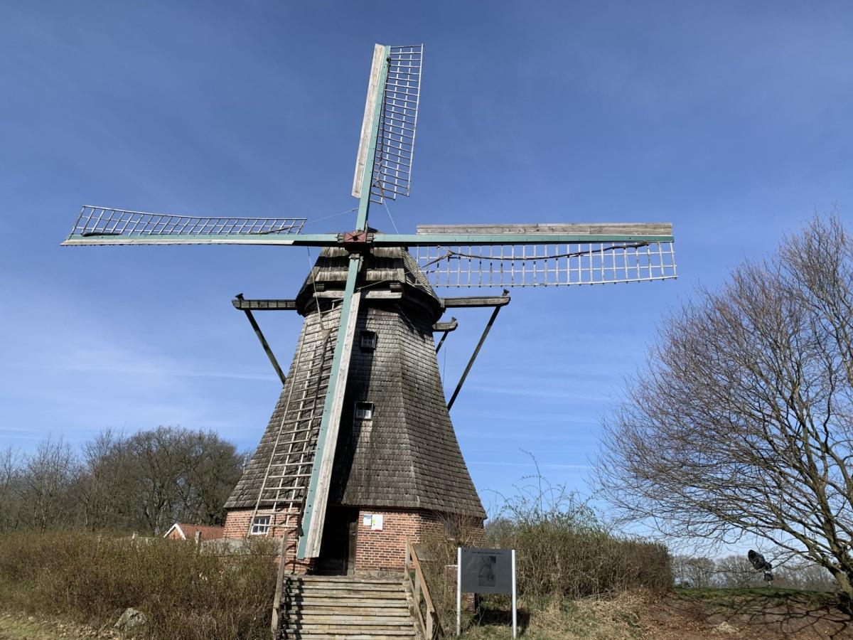 "Deutscher Mühlentag" an der Hilter Mühle