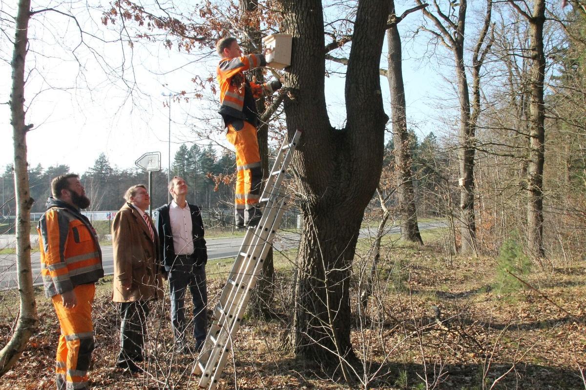 Tierische „Helden“ gegen Raupenbefall Tierische „Helden“ gegen Raupenbefall