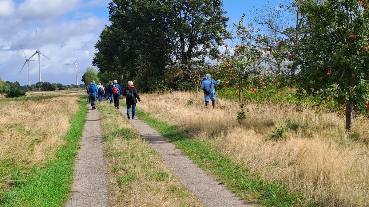 37 Frauen pilgern von Werlte nach Lorup: Muscheln, Gegenwind und viele kleine Glücksmomente auf dem Hümmlinger Pilgerweg 37 Frauen pilgern von Werlte nach Lorup: Muscheln, Gegenwind und viele kleine Glücksmomente auf dem Hümmlinger Pilgerweg