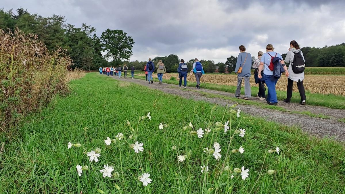 37 Frauen pilgern von Werlte nach Lorup: Muscheln, Gegenwind und viele kleine Glücksmomente auf dem Hümmlinger Pilgerweg 37 Frauen pilgern von Werlte nach Lorup: Muscheln, Gegenwind und viele kleine Glücksmomente auf dem Hümmlinger Pilgerweg