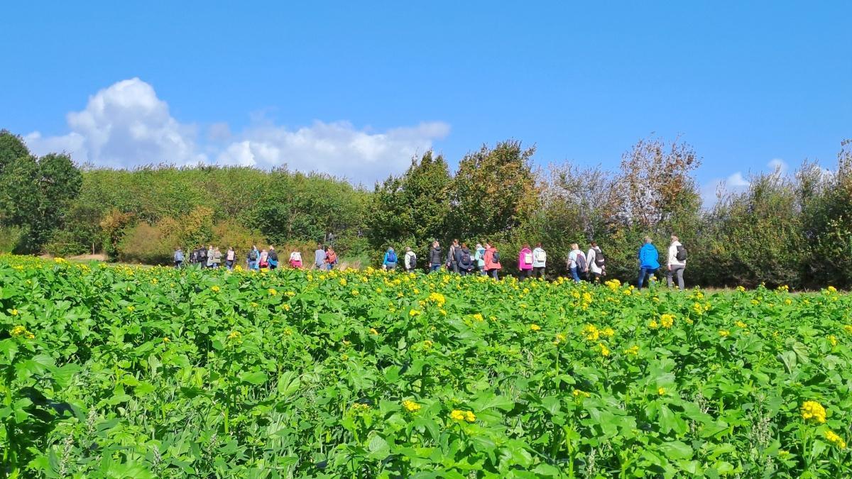 37 Frauen pilgern von Werlte nach Lorup: Muscheln, Gegenwind und viele kleine Glücksmomente auf dem Hümmlinger Pilgerweg
