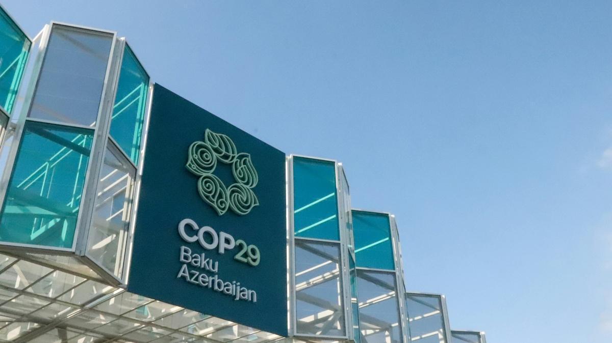 29th Conference of the Parties (COP29) 29th Conference of the Parties (COP29)