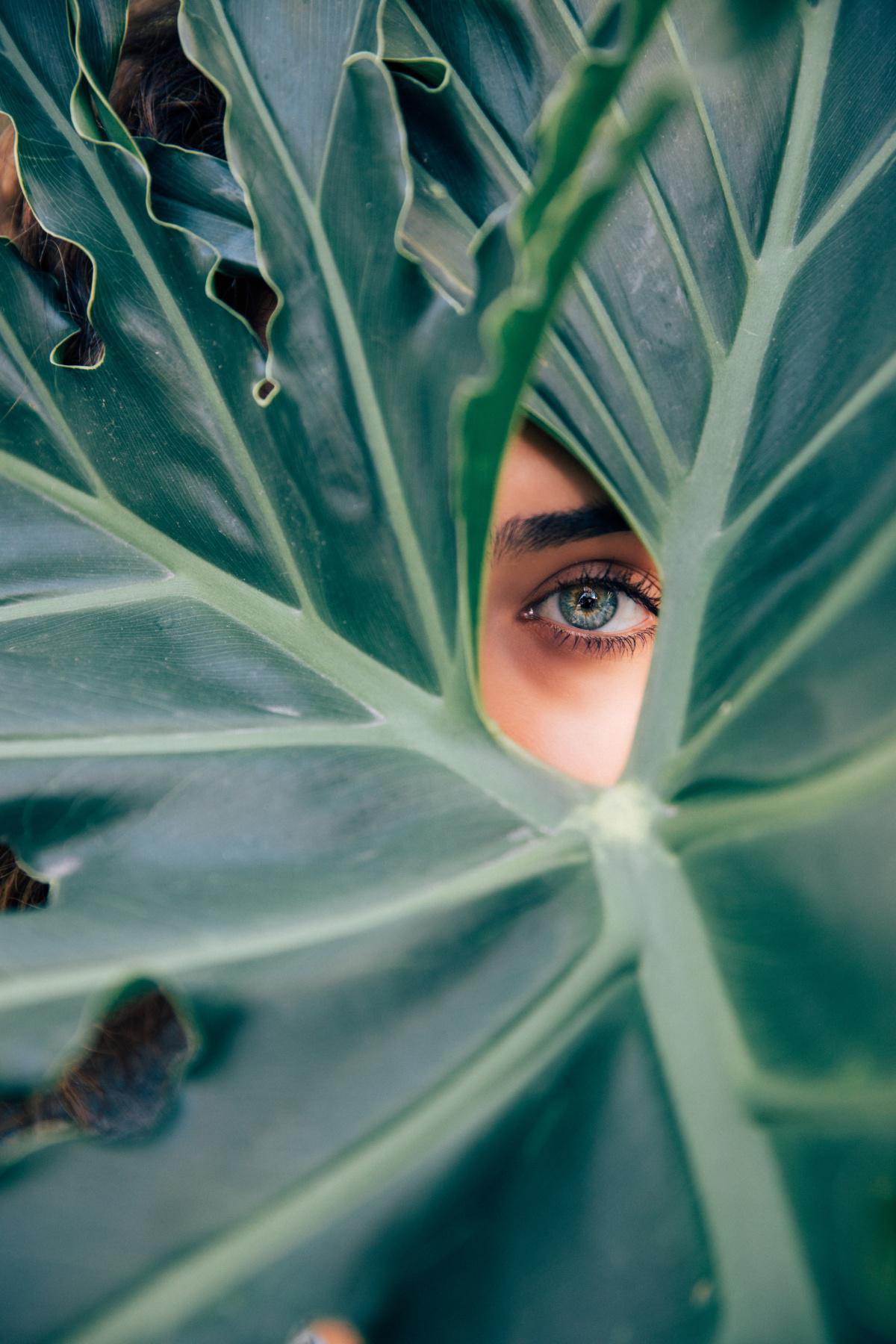 Cell Rejuvenation